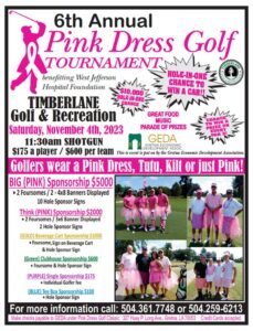 GEDA Pink Dress Poster